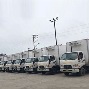 Truck Refrigeration Units